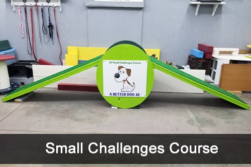 Small Challenges Training Course