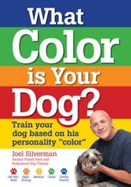 WhatColor