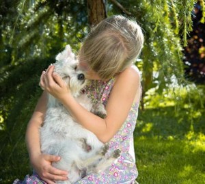 2 Minute Dog Training Works
