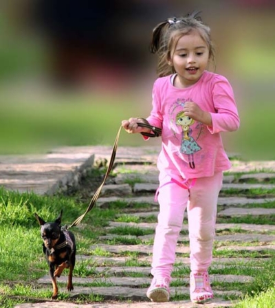girl-minpin_500 How Far Should I Walk my Dog?
