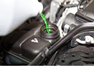 Antifreeze Poisoning in Dogs