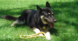 Neka's New Home