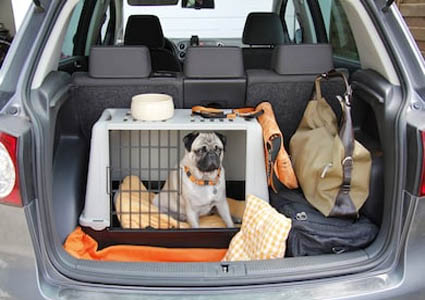 pvg-car What Size Dog Crate Do I Need for My Dog?