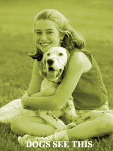 yellow girl-pointer Do Dogs Only See in Black & White?