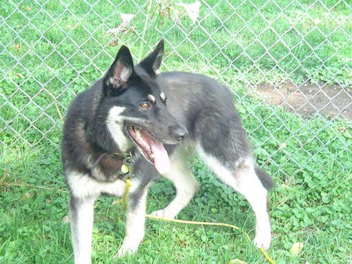 510-1 Princess Neka day 1