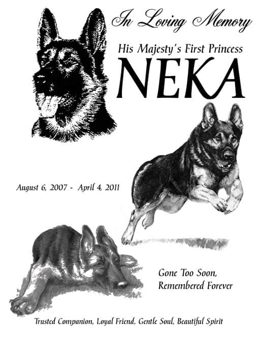 510-plaque Princess Neka Memorial
