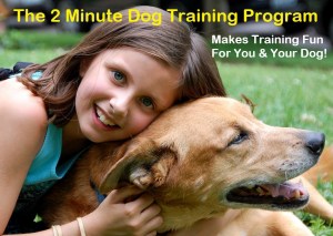 2 Minute Dog Training