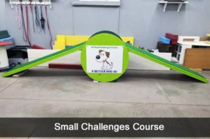 Small Challenges Course