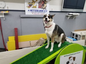 Small Challenges Course